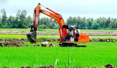 Farmers convert paddy field into shrimp ponds (Photo: SGGP)